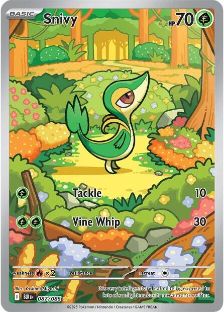 Snivy - 087/086 [BLK - 087/086]